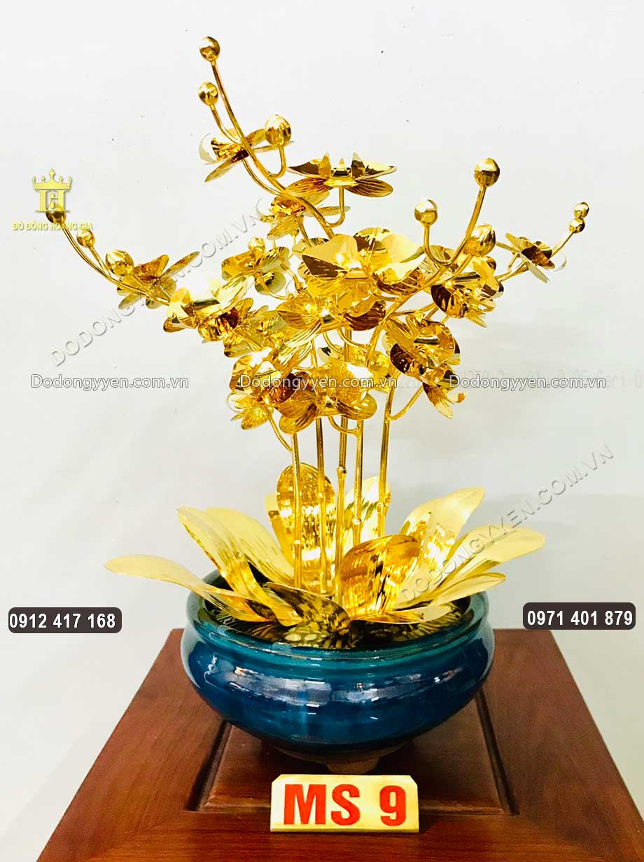 Mẫu chậu hoa Lan 09
